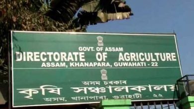 असम - करोड़ों का कृषि घोटाला, 3 ठेकेदार गिरफ्तार