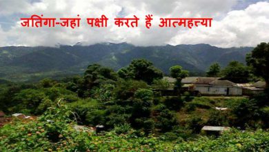 जतिंगा जहां पक्षी करते हैं आत्महत्त्या